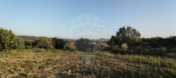 1 Schlafzimmer Haus in Goncalo, Portugal, Nr. 65675 2