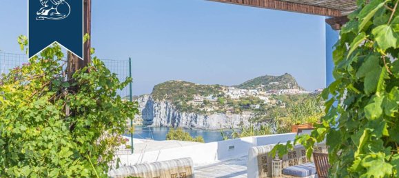 6 chambres Villa à Ponza, Italy No. 346393 4