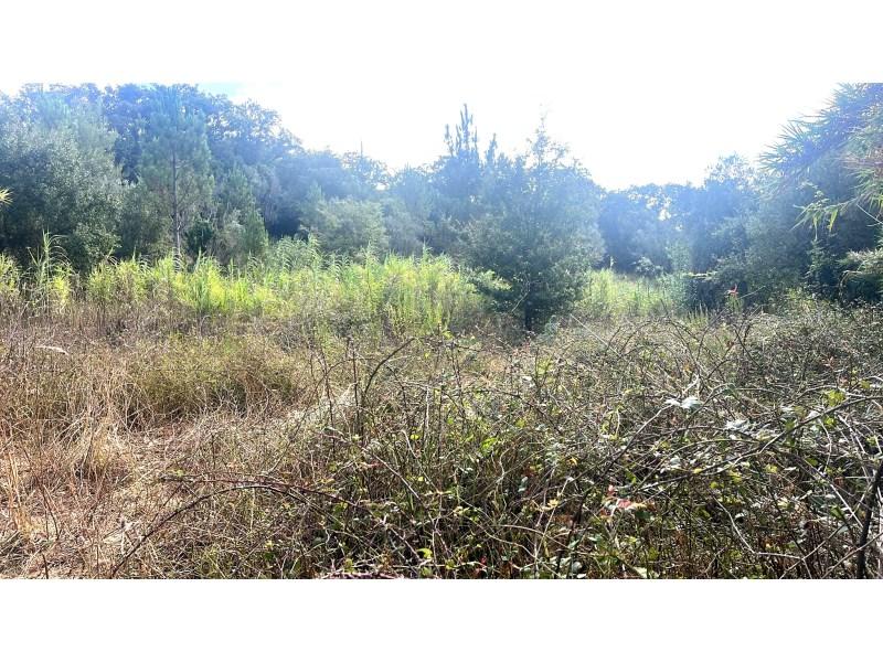 8760m² Land in Bucelas, Portugal No. 288843