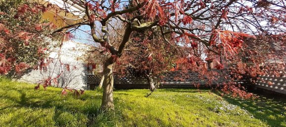 Villa de 6 habitaciónes en Sordio, Italy No. 251485 10