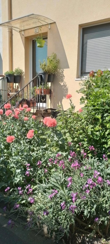 Moradia em banda T2 em Ortenaukreis, Germany N.º 219185