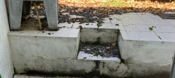 4 غرف نوم منزل في Escalhao, Portugal رقم 182033 10