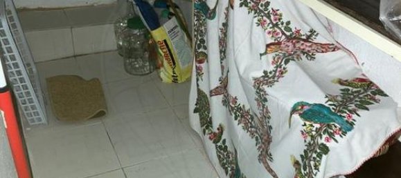 4 غرف نوم منزل في Escalhao, Portugal رقم 182033 14