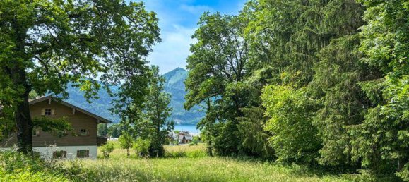 Terrain à St. Wolfgang im Salzkammergut, Austria No. 151150 3