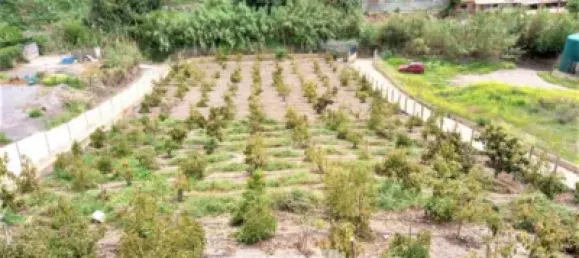 2 bedrooms House in Almayate Bajo, Spain No. 38720 19