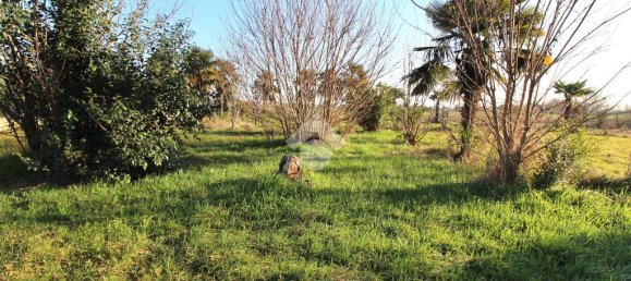 Grundstück in Udine, Italy 5243m², Nr. 146001 15