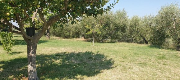 5 bedrooms House in Vallefoglia, Italy No. 336072 5