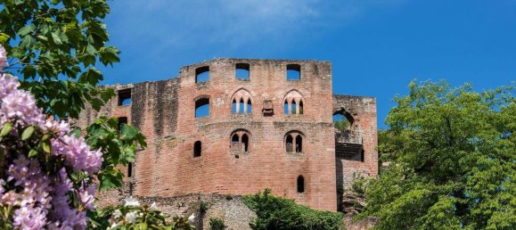 6 rooms House in Kaiserslautern, Germany No. 244450 21