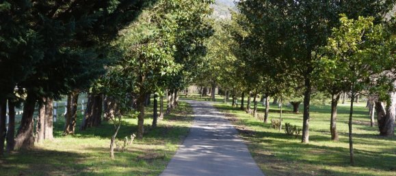 13 bedrooms Commercial property in Le Lavandou, France No. 1985 20