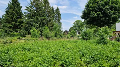  Land in Grafenworth, Austria No. 163368