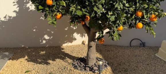 2 Schlafzimmer Villa in Ciudad Quesada, Spain, Nr. 176485 19