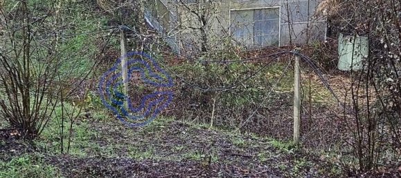 قطعة أرض في Amarante, Portugal 30550متر مربع رقم 56641 28