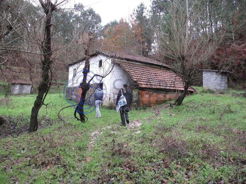  قطعة أرض في Amarante, Portugal 30550متر مربع رقم 56641