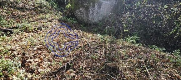 قطعة أرض في Amarante, Portugal 30550متر مربع رقم 56641 20