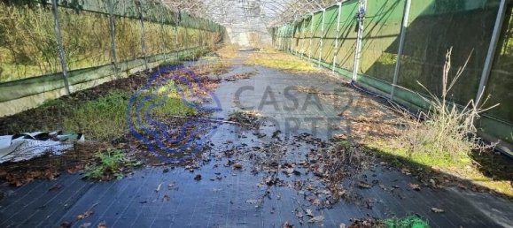 قطعة أرض في Amarante, Portugal 30550متر مربع رقم 56641 15