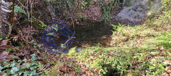 قطعة أرض في Amarante, Portugal 30550متر مربع رقم 56641 19