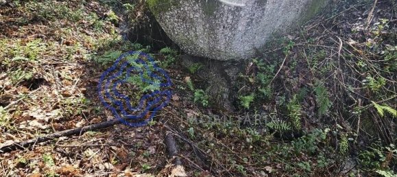 قطعة أرض في Amarante, Portugal 30550متر مربع رقم 56641 17