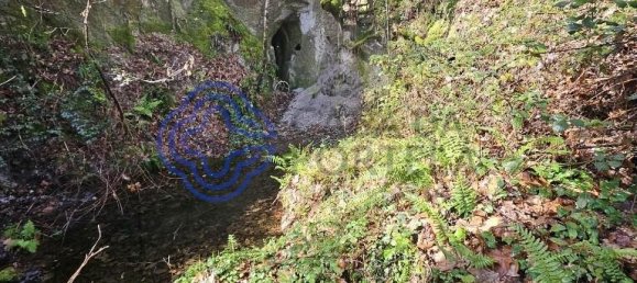 قطعة أرض في Amarante, Portugal 30550متر مربع رقم 56641 14