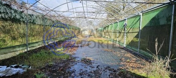 قطعة أرض في Amarante, Portugal 30550متر مربع رقم 56641 13