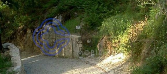 قطعة أرض في Amarante, Portugal 30550متر مربع رقم 56641 3