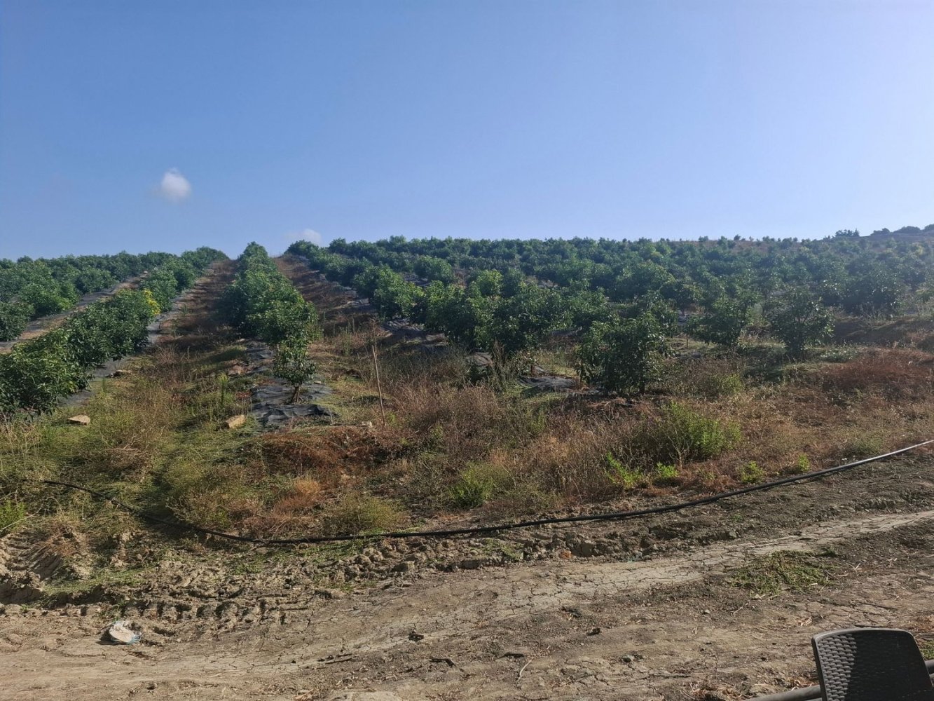 Grundstück in San Roque, Spain, Nr. 186977