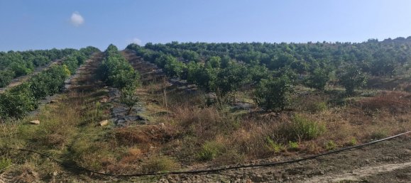 Grundstück in San Roque, Spain, Nr. 186977 4