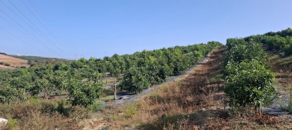 Grundstück in San Roque, Spain, Nr. 186977 13