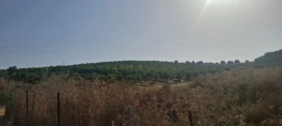 Grundstück in San Roque, Spain, Nr. 186977 15