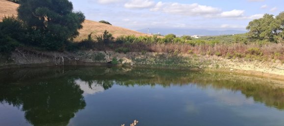 Grundstück in San Roque, Spain, Nr. 186977 3