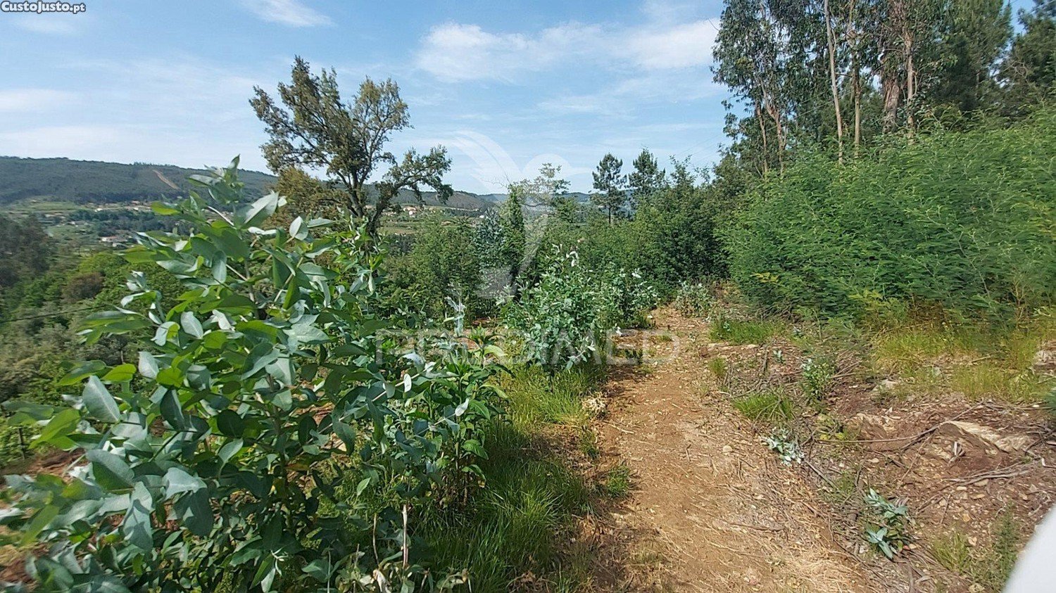 Terreno en Amarante, Portugal 3550 m² No. 56661