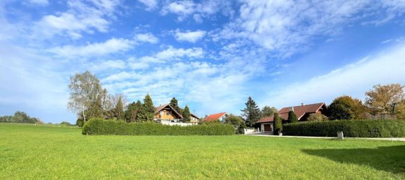  Land in Moosdorf, Austria No. 162988 5