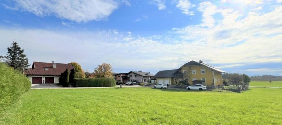 Land in Moosdorf, Austria No. 162988 2