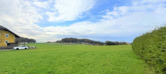  Land in Moosdorf, Austria No. 162988 3