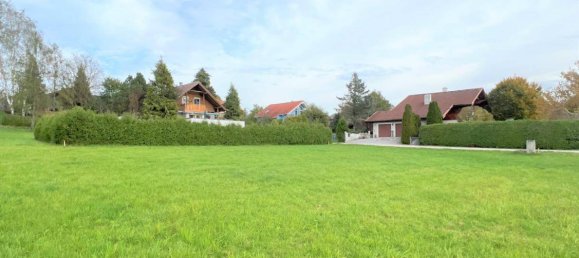  Land in Moosdorf, Austria No. 162988 4
