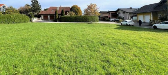  Land in Moosdorf, Austria No. 162988 7