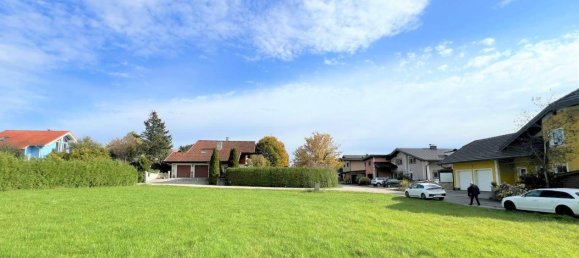  Land in Moosdorf, Austria No. 162988 6