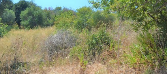 Hotel en Corfu, Greece 7700 m² No. 4098 6