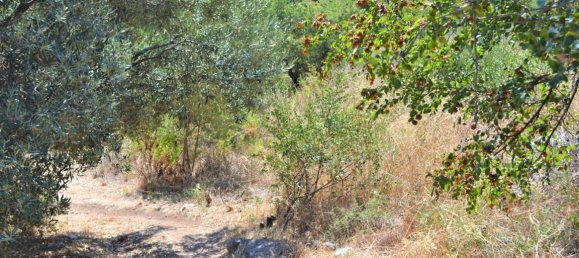 Hotel en Corfu, Greece 7700 m² No. 4098 5