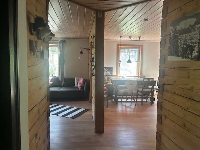 1 غرف نوم شقة في Oberallgau, Germany رقم 219499