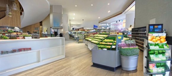 600m² Commercial property in Selestat, France No. 94856 11