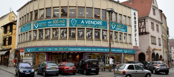600m² Commercial property in Selestat, France No. 94856 2
