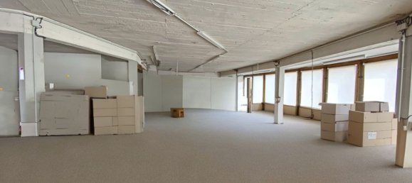 600m² Commercial property in Selestat, France No. 94856 8