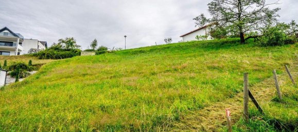  Land in Lassnitzhohe, Austria No. 160683 3