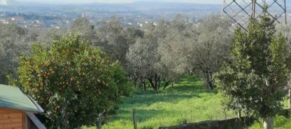 Apartamento T6 em Larciano, Italy N.º 357359 14