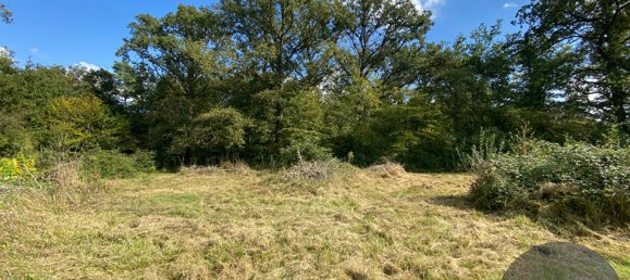 Grundstück in Fontaines-en-Sologne, France, Nr. 243138 5