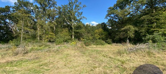 Grundstück in Fontaines-en-Sologne, France, Nr. 243138 2