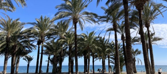 Wohnung in Torremolinos, Spain 40m², Nr. 293327 21