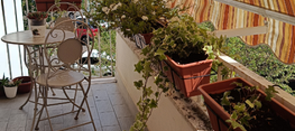 4 rooms Apartment in Viterbo, Italy No. 276746 6