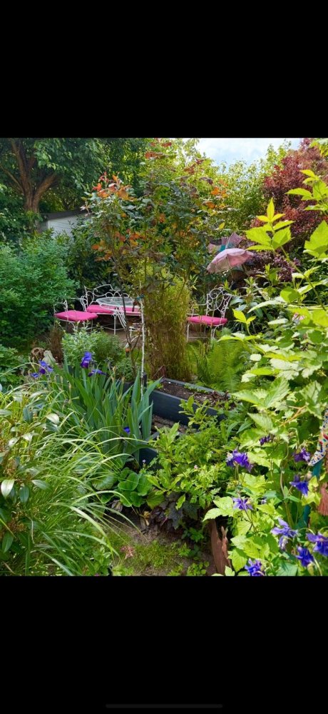 Квартира с 1 спальней в Эрланген-Хёхштадт, Германия № 262714