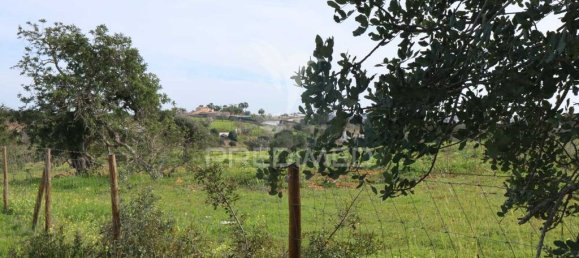 Terrain à Guia, Portugal 15000m² No. 69488 15